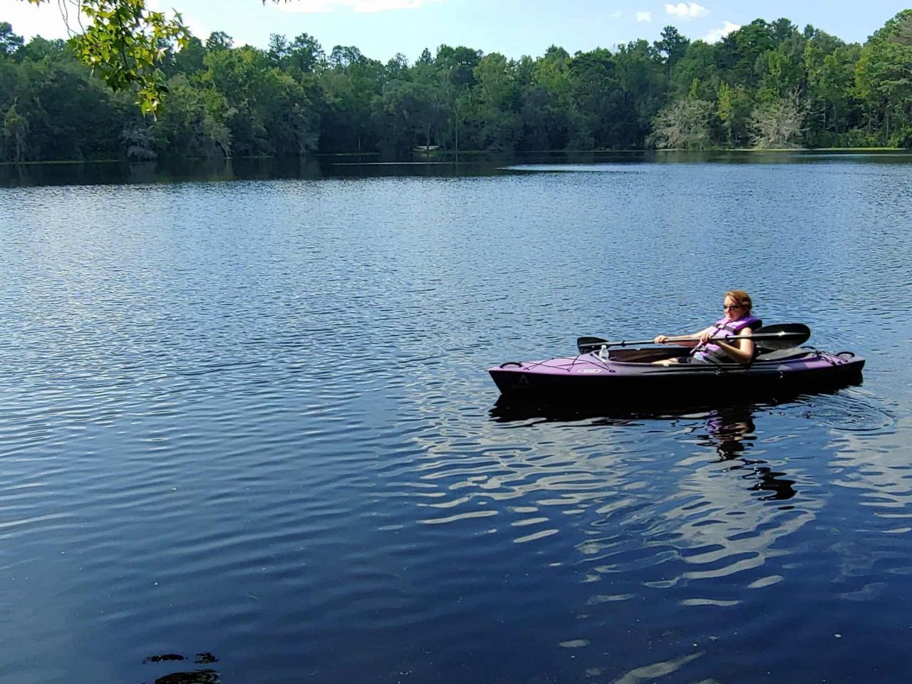 Lot 8 Sneads Drive, Greenville, FL 00000 Photo