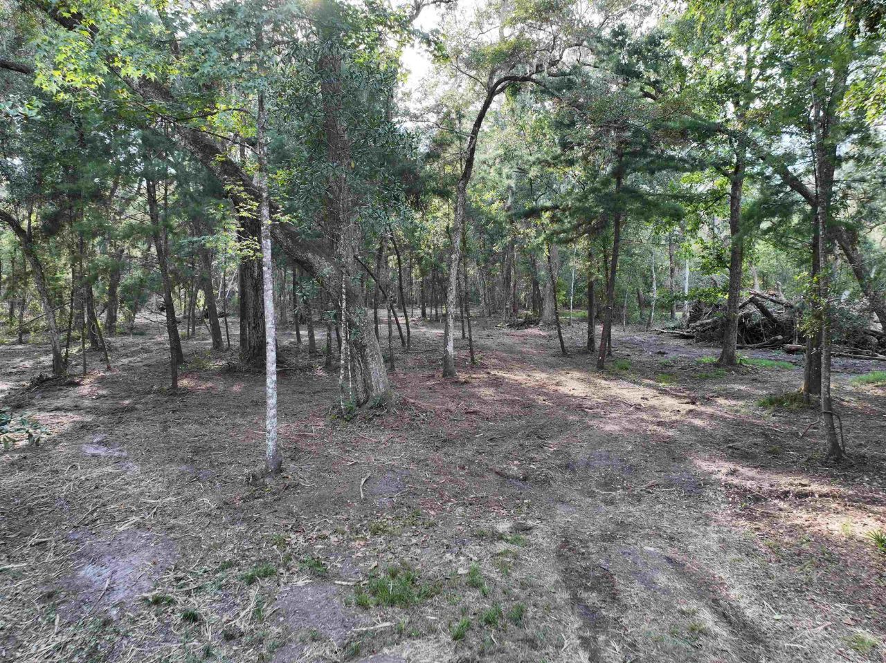 Lot 8 Sneads Drive, Greenville, FL 00000 Photo