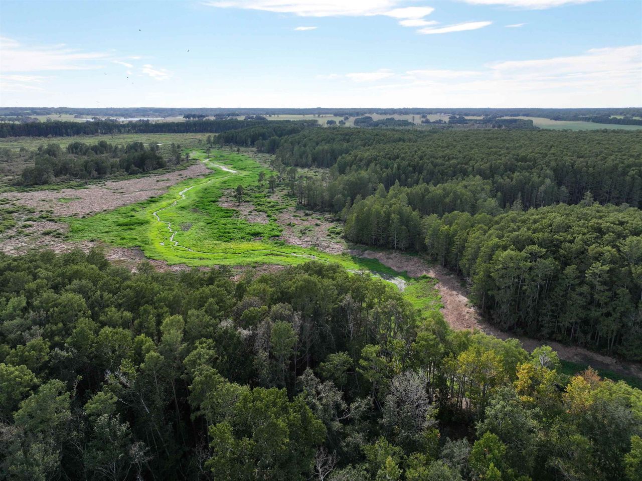 Lot 8 Sneads Drive, Greenville, FL 00000 Photo