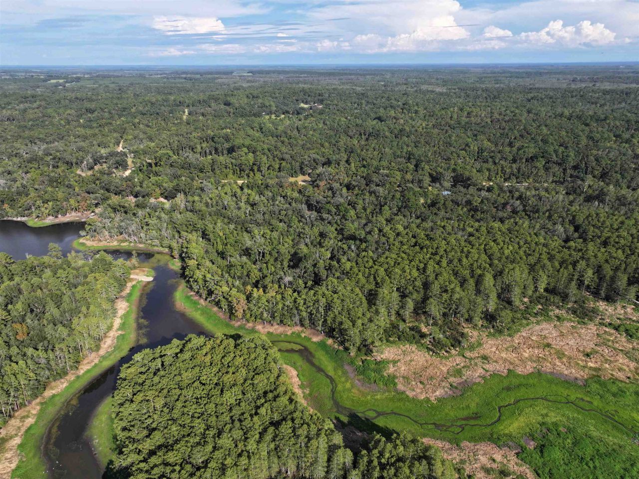 Lot 8 Sneads Drive, Greenville, FL 00000 Photo