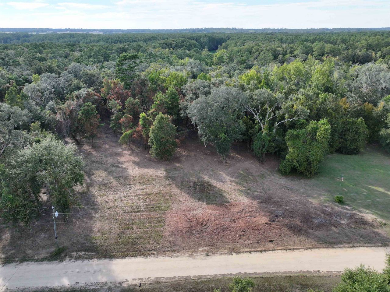 Lot 8 Sneads Drive, Greenville, FL 00000 Photo