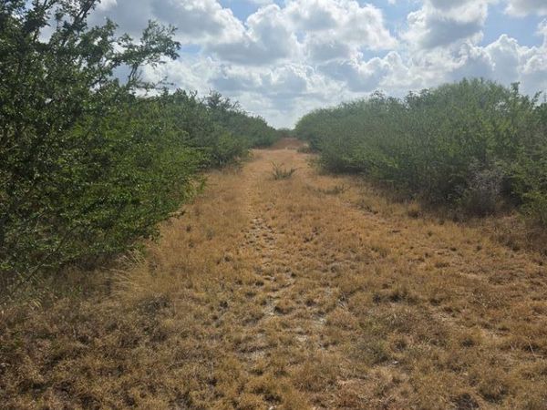 0 Cr 170, Alice, TX 78332