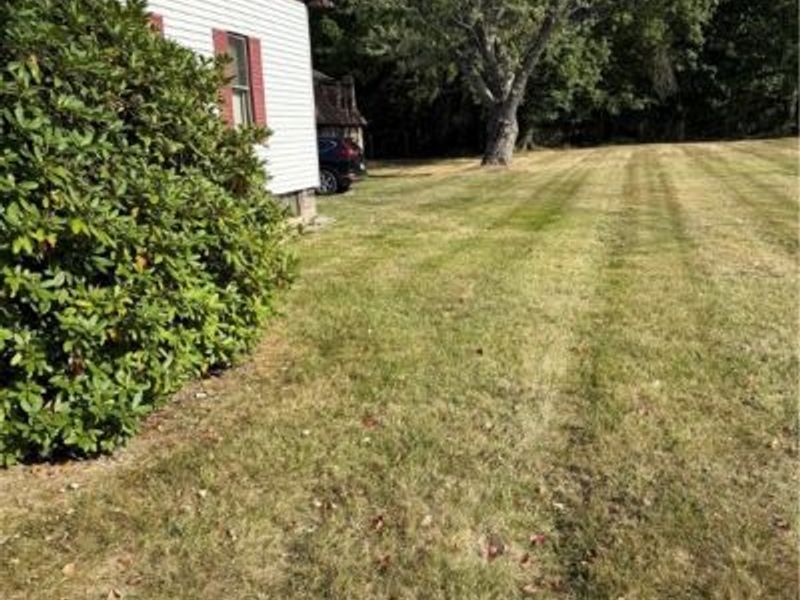 8703 E Market Street, Howland, OH 44484 Photo 17