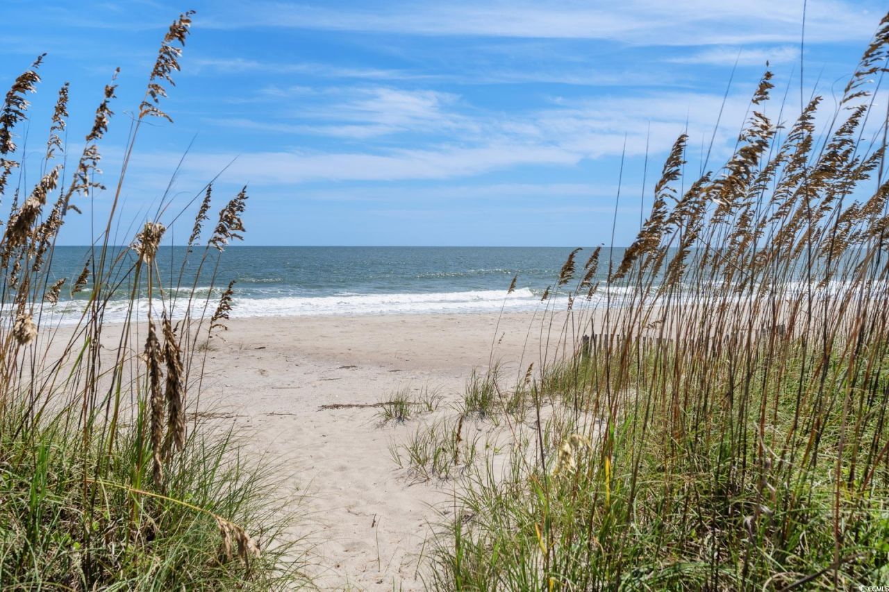 116 Summer Haven Ct. Photo 30