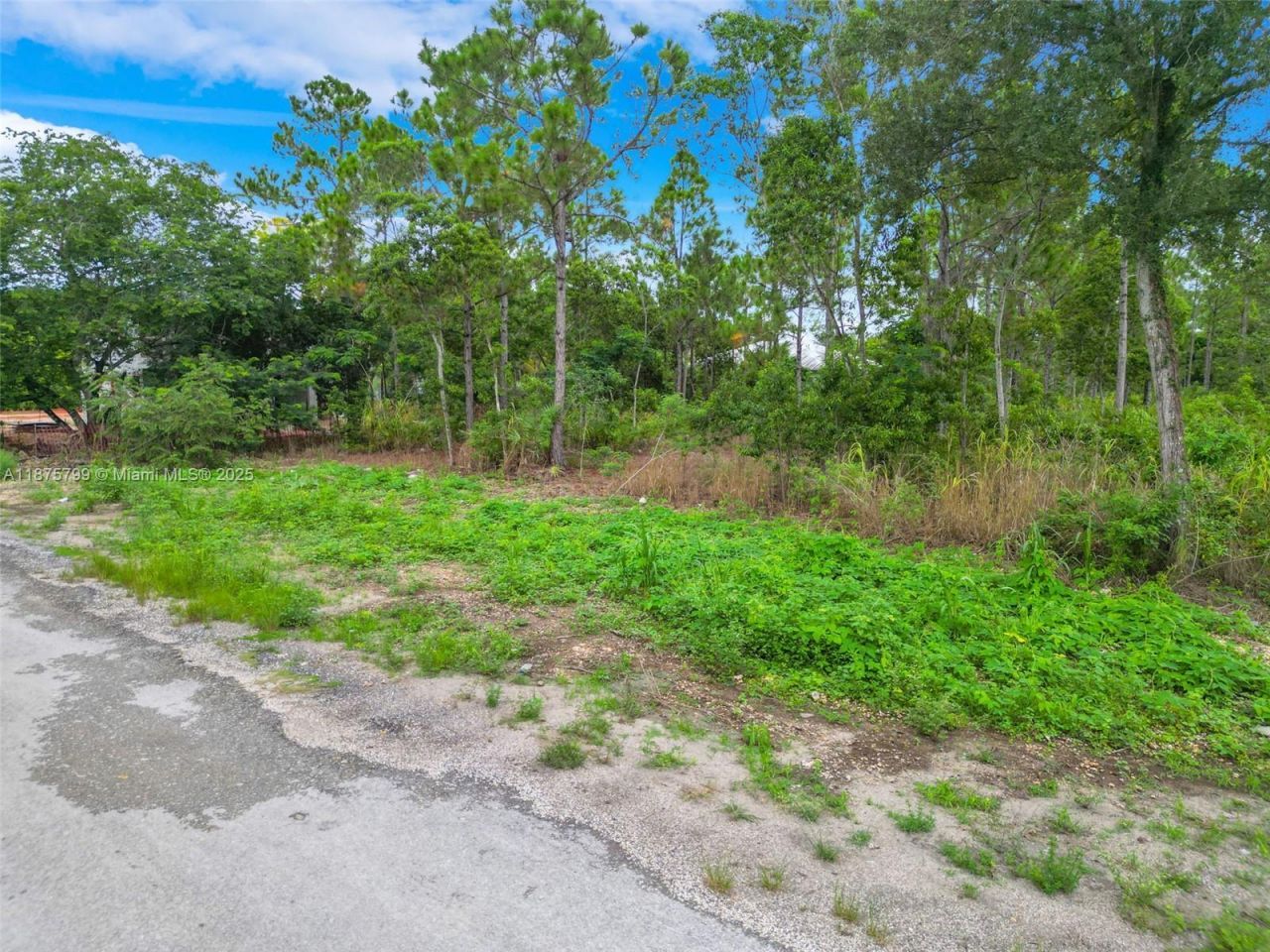 194xx SW 334st, Homestead, FL 33034 Photo