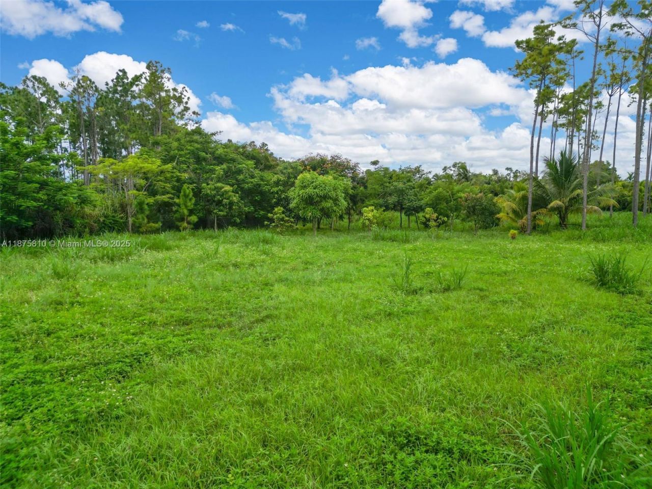 196xx SW 332nd St, Homestead, FL 33034 Photo