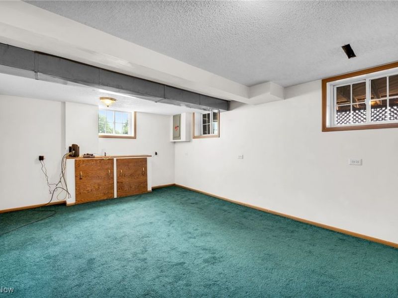 9373 Murray Ridge Road, Elyria, OH 44035 Photo 25