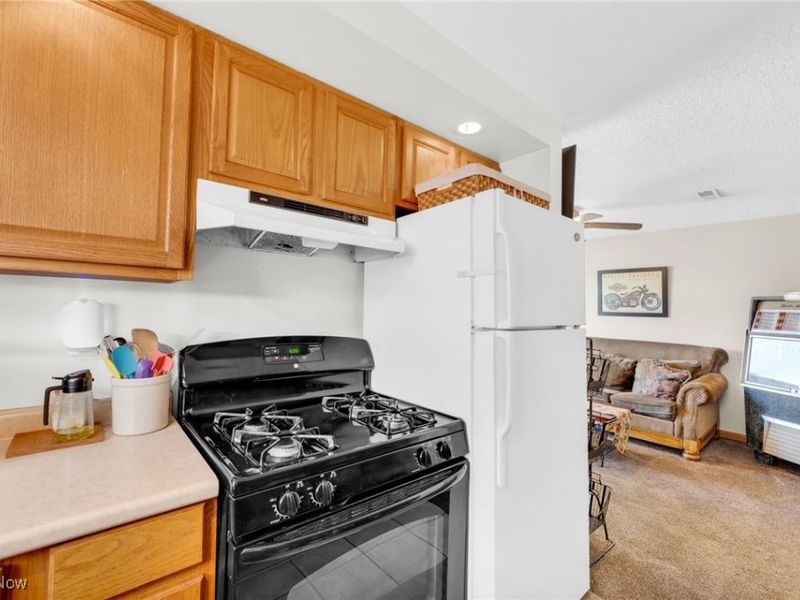 9373 Murray Ridge Road, Elyria, OH 44035 Photo 42