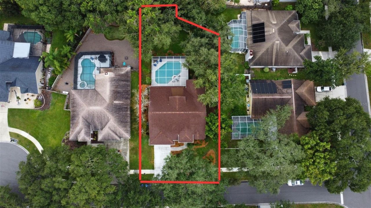 5308 Windbrush Drive, Tampa, FL 33625 Photo