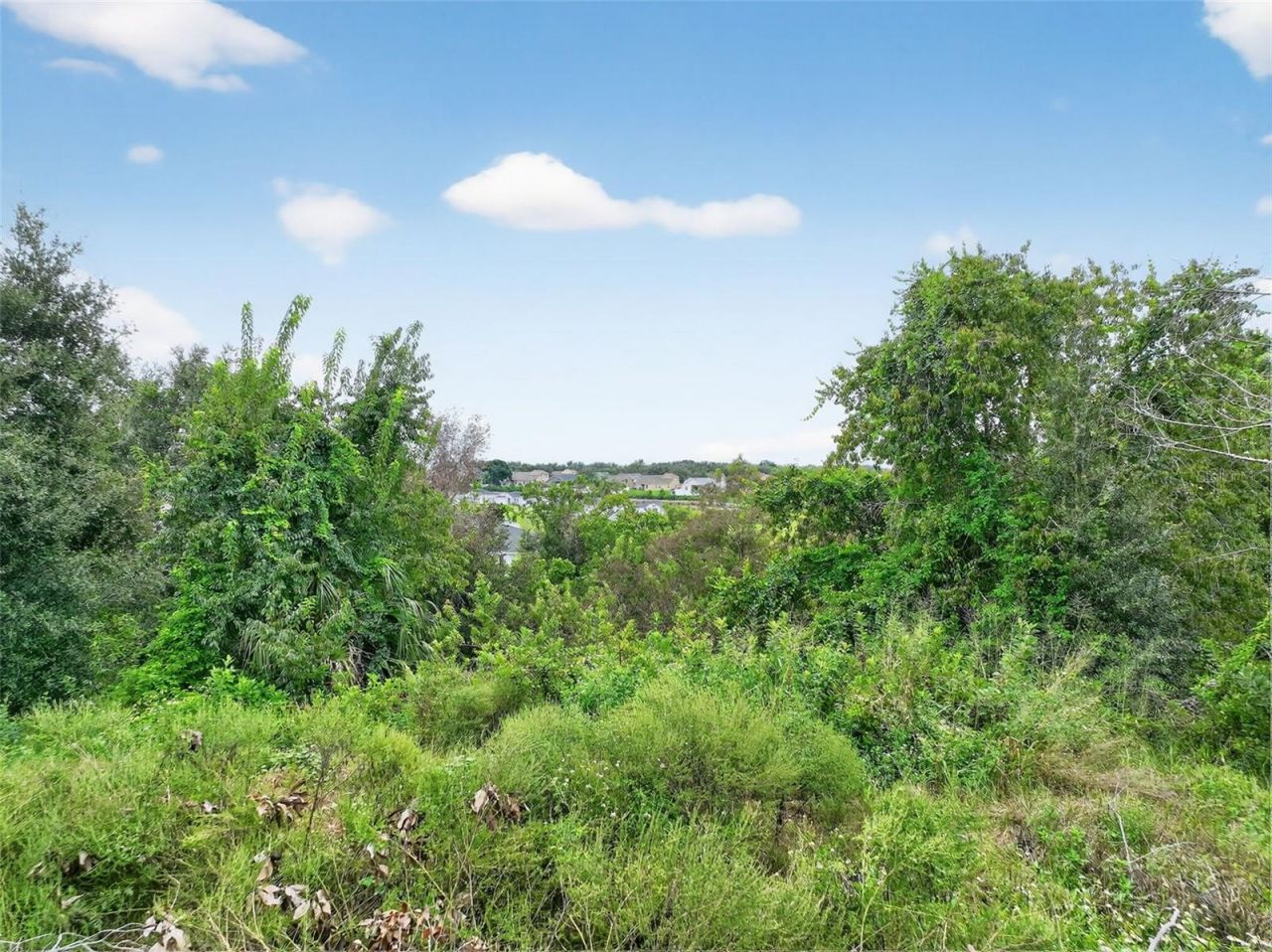 Tbd Kanuba Court, Clermont, FL 34711 Photo