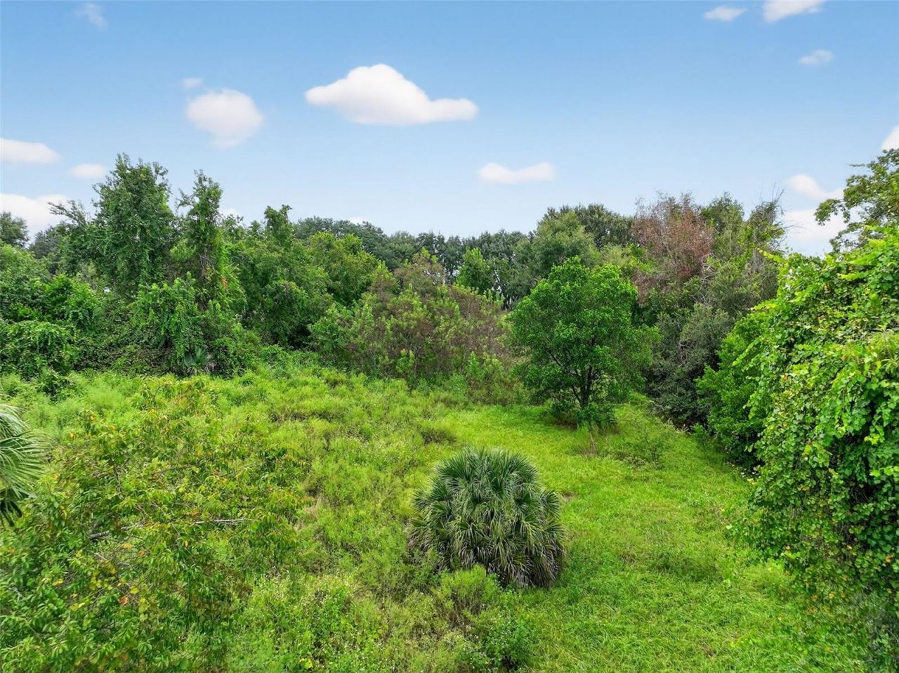 Tbd Kanuba Court, Clermont, FL 34711 Photo