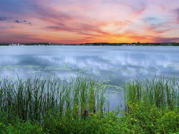 31 SUNSET CIRCLE, LAKE ALFRED, FL 33850