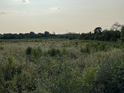 Lot 1 Munger Road Ypsilanti, MI 48197