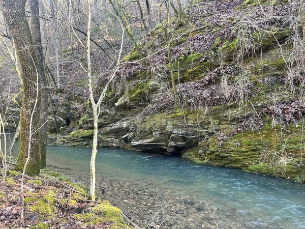 RPID 6702 Liberty Road, Norman, AR 71960