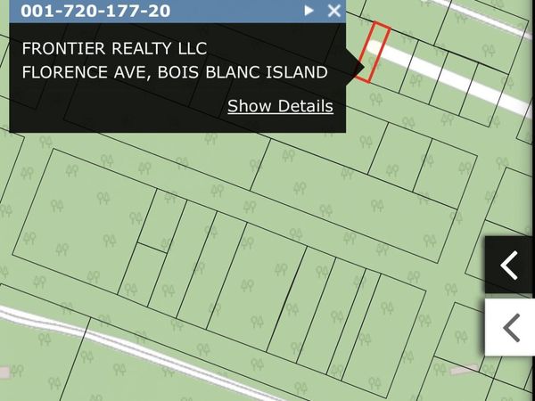 424344B19 Florence AVE, Bois Blanc, MI 49775