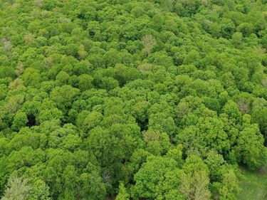 (Lot 10) TBD NE Rock Lake Road, Rochert, MN 56578