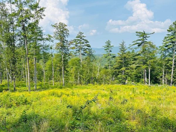 2024 Route 114, Bradford, NH 03221