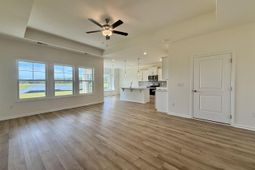 236 Palmetto Sand Loop photo 4