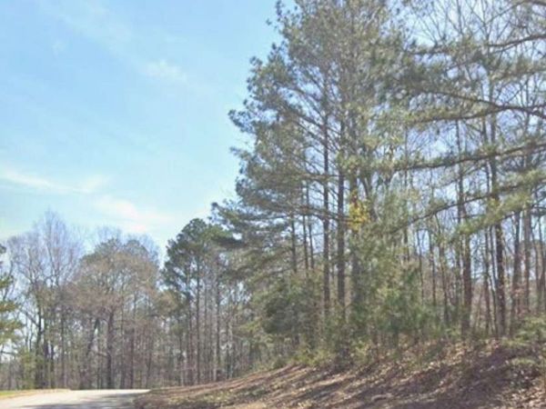 205 Long Cove Drive, Lagrange, GA 30240