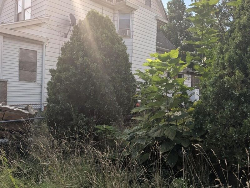 7514 Cornelia Avenue, Cleveland, OH 44103 Photo 10