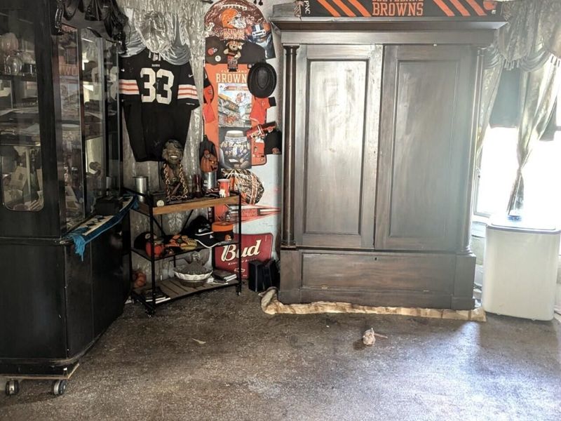 7514 Cornelia Avenue, Cleveland, OH 44103 Photo 9