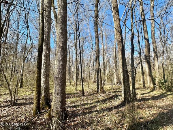 2 Champion Hill Road, Bolton, MS 39041