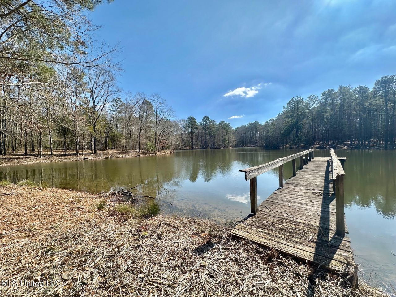 3 Champion Hill Road, Bolton, MS 39041 Main Photo