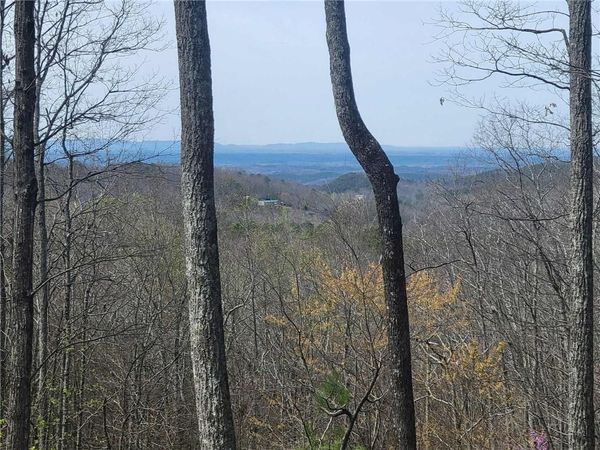 1005 Mayfield Lane NE, Ranger, GA 30734