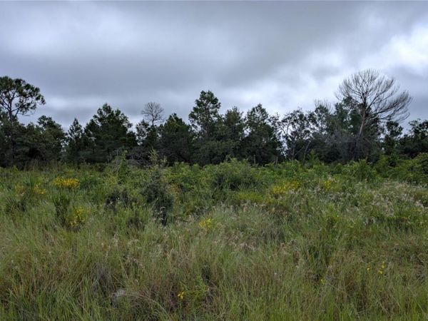 109 FALCON COURT NW, LAKE PLACID, FL 33852