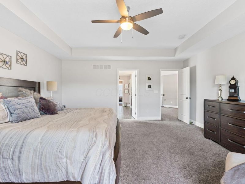 6618 Streamside Drive, Galena, OH 43021 Photo 50