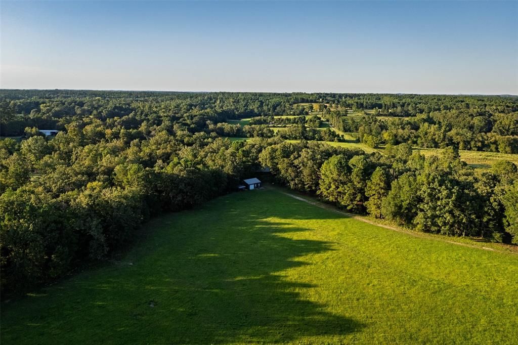 9754 Farm To Market Road 1251, Henderson, TX 75652 Main Photo