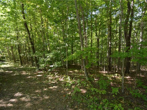 6495 Edson Road, Naples, NY 14512