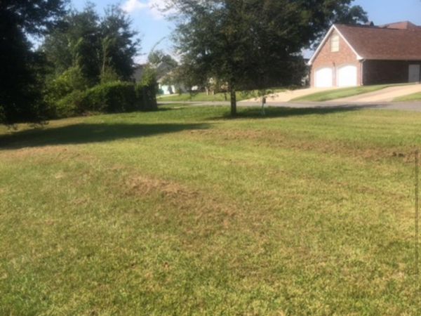 TBD River Highlands, St Amant, LA 70774