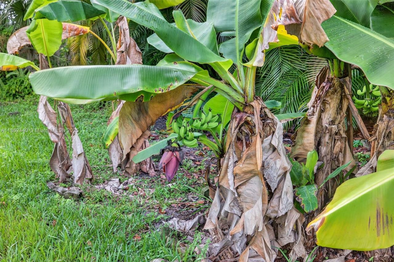 5240 Redwood Ct, Plantation, FL 33317 Photo