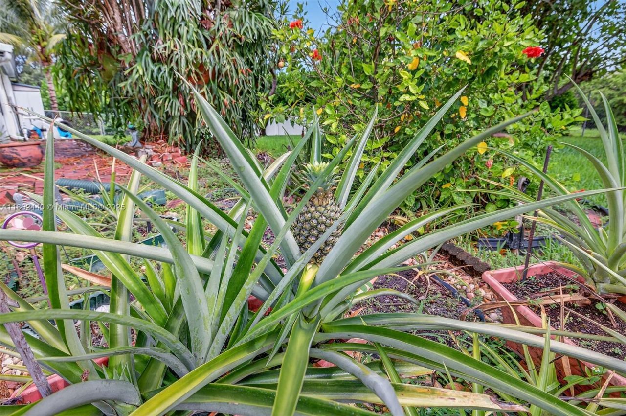 5240 Redwood Ct, Plantation, FL 33317 Photo