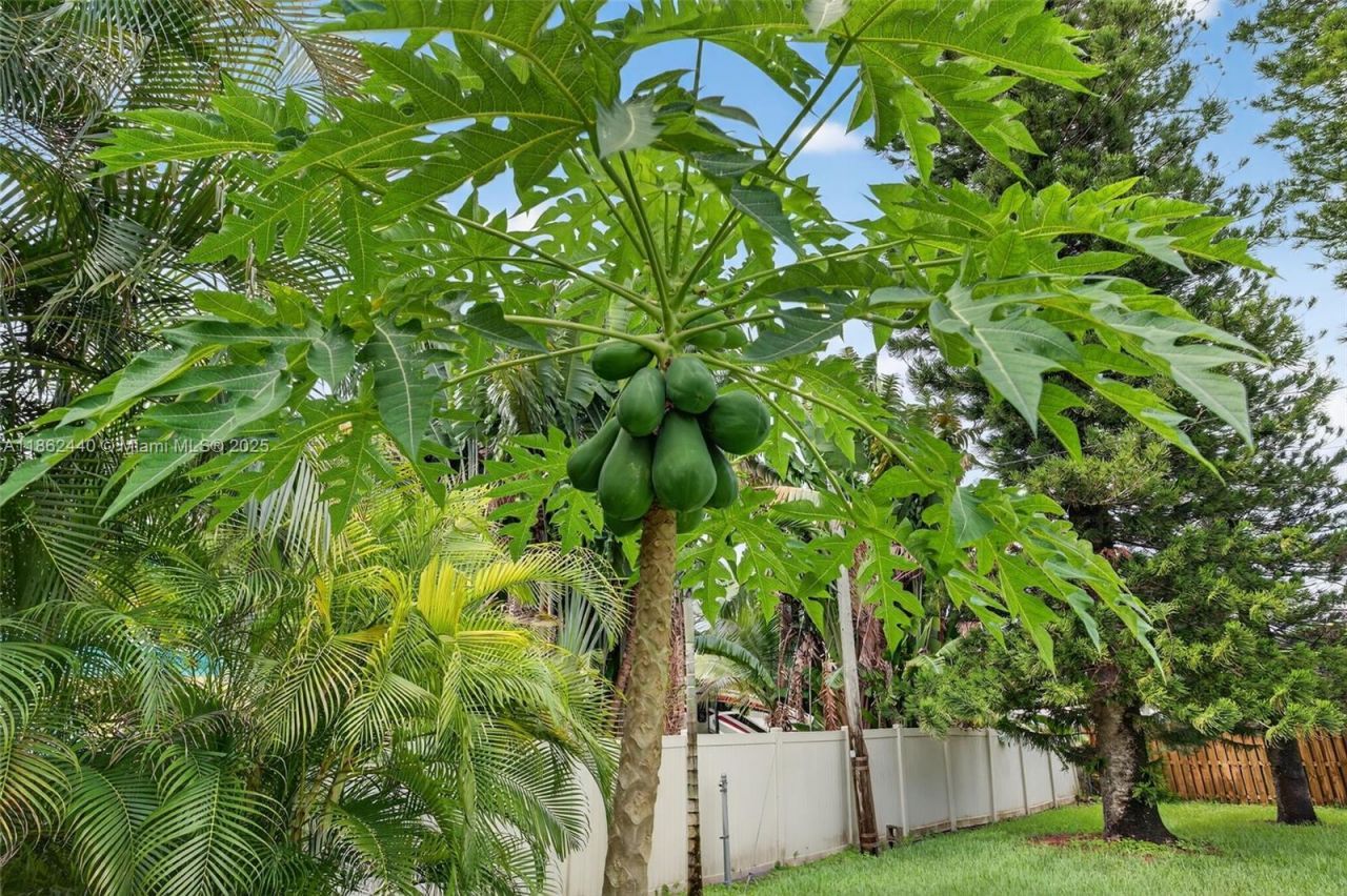 5240 Redwood Ct, Plantation, FL 33317 Photo