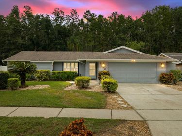 5330 BLACK PINE DRIVE, TAMPA, FL 33624