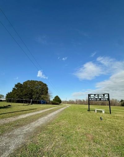 498 Gaskins Landing Lane Photo 10