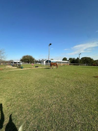 498 Gaskins Landing Lane Photo 14