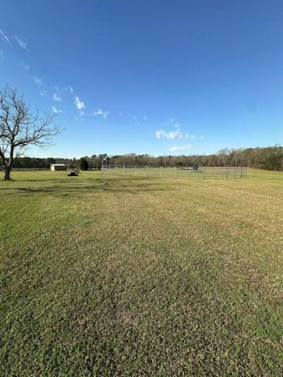 498 Gaskins Landing Lane Photo 16