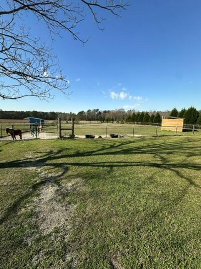 498 Gaskins Landing Lane Photo 18