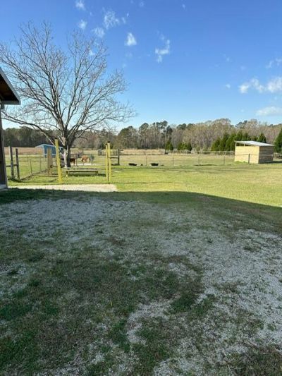 498 Gaskins Landing Lane Photo 23