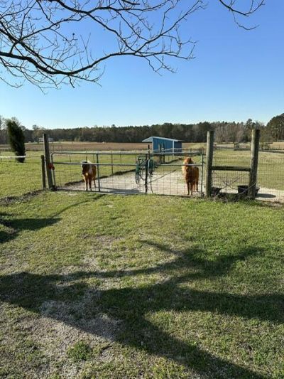 498 Gaskins Landing Lane Photo 30