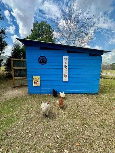 498 Gaskins Landing Lane Photo 33