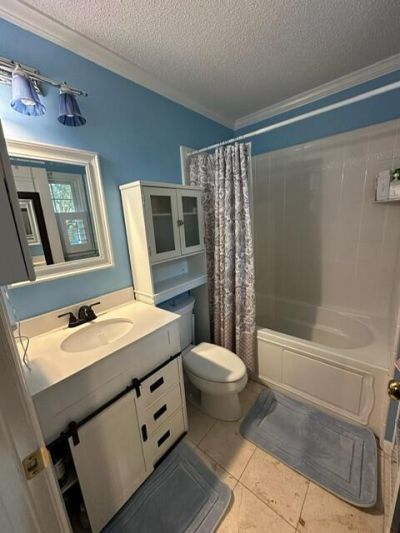 498 Gaskins Landing Lane Photo 41