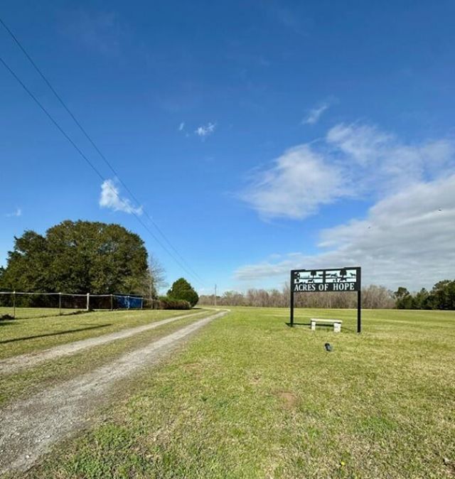 498 Gaskins Landing Lane Photo 5