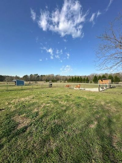 498 Gaskins Landing Lane Photo 84