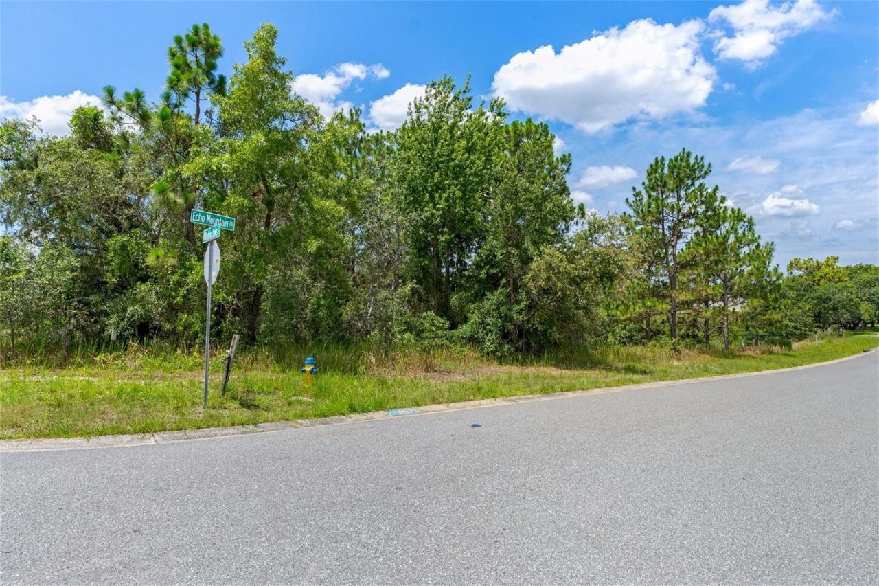 00 Winding Oaks Boulevard, Hudson, FL 34667 Photo