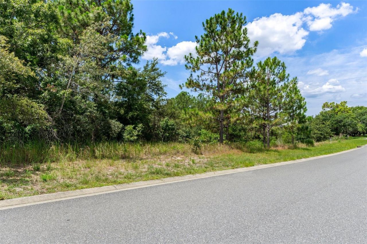 00 Winding Oaks Boulevard, Hudson, FL 34667 Photo