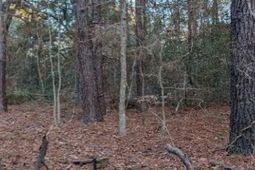 1981 Liberia Road photo 4